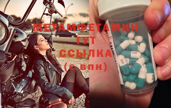гидра Кодинск