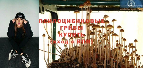 дживик Карталы