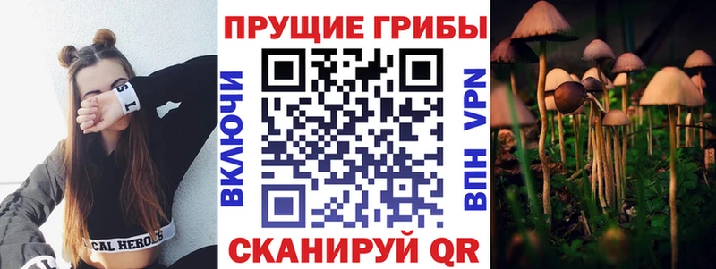 купить Княгинино Псилоцибиновые грибы мухоморы