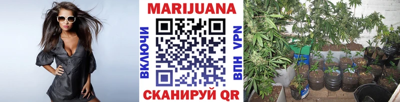 Канабис Amnesia  Княгинино 